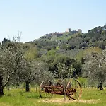 Il Ciliegio