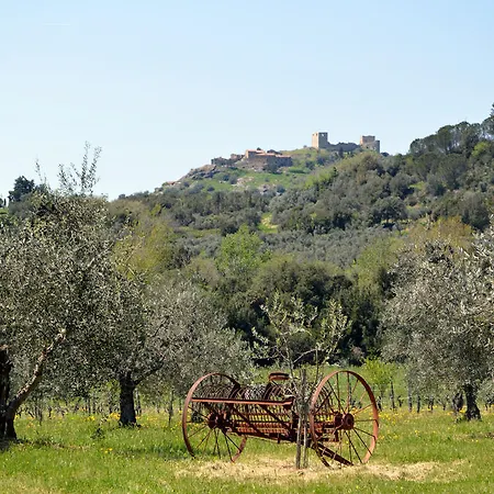 Il Ciliegio